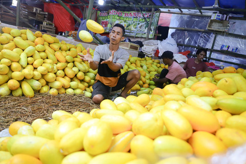 Pedagang menata timun suri di lahan parkir Pasar Induk Kramatjati, Jakarta, yang diubah menjadi tempat berdagang dadakan, Sabtu (21/2/2026). Foto: Jamal Ramadhan/kumparan