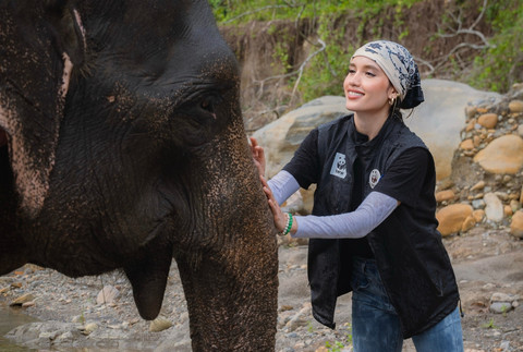 Cinta Laura bertemu dengan gajah di Aceh. Foto: Act of Love x WWF