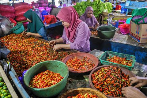 Pedagang menyortir cabai rawit merah yang dijual di Pasar Barito, Ternate, Maluku Utara, Minggu (22/2/2026). Foto: Andri Saputra/ANTARA FOTO