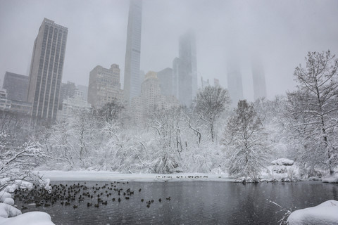 Burung-burung beristirahat di dekat Jembatan Gapstow di Central Park saat salju turun selama badai musim dingin di Kota New York, AS, Senin (23/2/2026) waktu setempat. Foto: Jeenah Moon/REUTERS