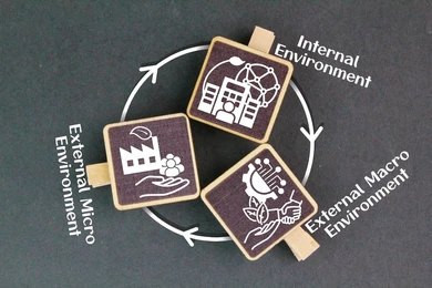 Ilustrasi gambar keterkaitan siklus antara lingkungan internal, mikro dan makro. Foto: Shutterstock