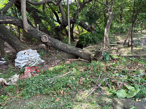 Suasana di dalam Hutan Kota Cawang di Jalan D.I. Panjaitan, Jakarta Timur, pada Sabtu (28/2/2026). Foto: Abid Raihan/kumparan