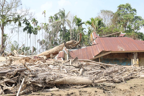 Tumpukan kayu yang terbawa banjir di Aceh. Foto: Dok. Istimewa