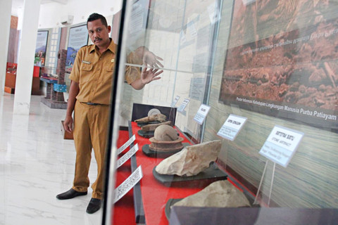 Edukator Museum Situs Purbakala Patiayam, Ari Mustaqim melihat artefak manusia purba pada Senin (2/3). Foto: Vega Maarijil Ula/kumparan
