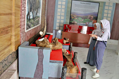 Pengunjung melihat koleksi hewan purba di Museum Situs Purbakala Patiayam pada Senin (2/3). Foto: Vega Maarijil Ula/kumparan
