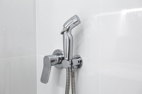 Apa Itu Bidet dan Bagaimana Cara Kerjanya? Foto: photopixel/Shutterstock