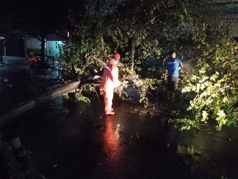 Petugas memeriksa kerusakan akibat bencana hidrometeorologi di wilayah Kabupaten Malang pada 20 desa di 9 kecamatan. Foto: Dok. BPBD Kabupaten Malang