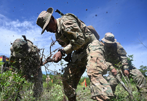Tentara Bolivia menghancurkan tanaman koka sebagai bagian dari program pemberantasan daun koka berlebih, seiring negara tersebut melanjutkan kerja sama operasional dengan Badan Penegakan Narkoba AS (DEA) setelah absen selama 17 tahun. Foto: REUTERS/Claudia Morales