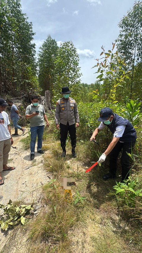 Kerangka manusia ditemukan di Areal Compertemen E 057 PT RAPP Estate Teso Blok Teso Barat, Desa Bukit Raya, Kecamatan Singingi Hilir, Kabupaten Kuansing, Riau. dok: Istimews