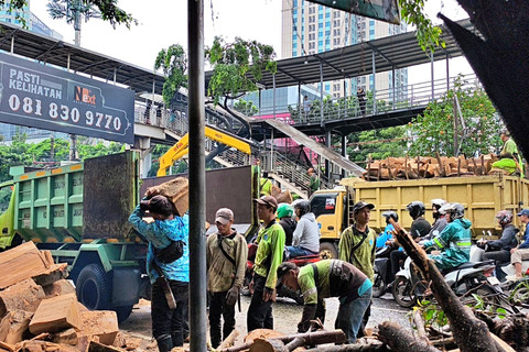 Suasana pembersihan jalan usai kejadian pohon tumbang di JPO Tanjung Barat, Jakarta Selatan, Minggu (8/3). Foto: Zamachsyari/kumparan