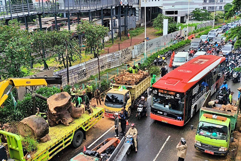 Suasana pembersihan jalan usai kejadian pohon tumbang di JPO Tanjung Barat, Jakarta Selatan, Minggu (8/3). Foto: Zamachsyari/kumparan