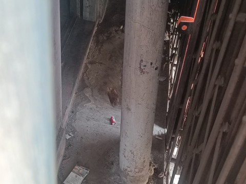 Ampas petasan yang berada di belakang pintu kios yang diduga menjual obat keras Tramadol di Pekayon, Pasar Rebo, Jakarta Timur pada Selasa (10/3/2026). Foto: Ryan Iqbal/kumparan