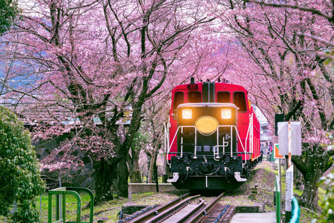 Ilustrasi traveling  ke Jepang. Foto: Dok. Klook
