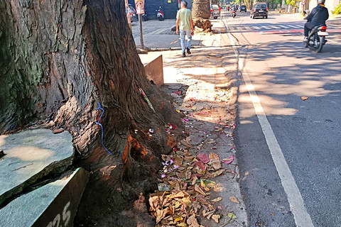 Lokasi kejadian pengeroyokan yang menewaskan siswa SMAN 5 Bandung di Jalan Cihampelas, Kota Bandung, Minggu (15/3). Foto: Abisatya/kumparan