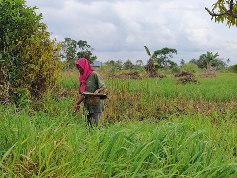 Megawati merapikan barang dagangan di kios bantuan Sekolah Rakyat. Foto: Kemensos
