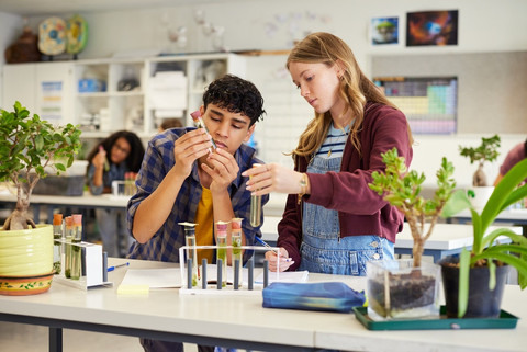 Ilustrasi pembelajaran menggunakan kurikulum IB. Foto: Shutterstock