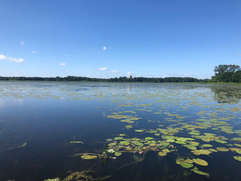 Lake Mai Ndombe. Foto: Noa Luna/Shutterstock
