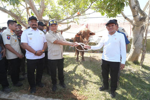 Mendagri Tito Karnavian di Aceh. Foto: Dok. Satgas PPR