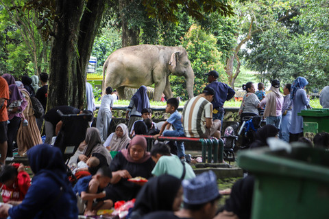 Sejumlah pengunjuk bersantap makan di kawasan Taman Margasatwa Ragunan pada Sabtu (28/3/2026). Foto: Iqbal Firdaus/kumparan