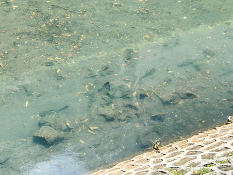 Situasi terkini aliran sungai depan mal di kawasan Bundaran HI, Jakarta Pusat, Jumat (10/4) siang.  Foto: Nauval Pratama/kumparan