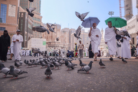 Ilustrasi Jemaah Haji. Foto: Duan Wade/Shutterstock
