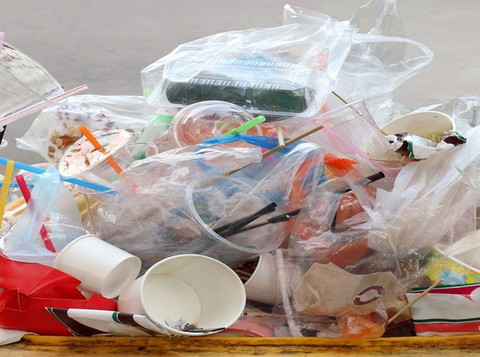 Sekali Pakai yang Selamanya: Tumpukan gelas dan sedotan plastik ini menjadi bukti kepraktisan yang ditukar dengan bencana lingkungan yang menolak mati. Bengkulu, (6/4/26). Sumber Putry