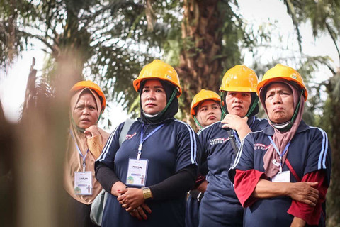 Petani perempuan yang dibina PT Triputra Agro Persada Tbk di Desa Mendik, Paser, Kalimantan Timur.  Foto: Dok. Istimewa