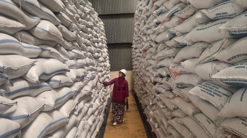 Pemimpin Wilayah Perum Bulog Kanwil Jateng Sri Muniati di Semarang saat mengecek stok beras di Gudang Bulog Semarang.  Foto: Dok. Istimewa