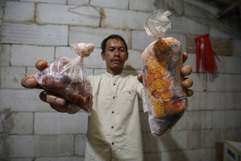 Nelayan ikan sapu-sapu, Zaenudin, menunjukkan kemasan daging ikan sapu-sapu dan telurnya yang siap di jual di kawasan Bogor, Jawa Barat, Kamis (23/4/2026). Foto: Aditia Noviansyah/kumparan
