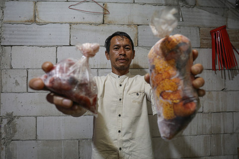 Nelayan ikan sapu-sapu, Zaenudin, menunjukkan kemasan daging ikan sapu-sapu dan telurnya yang siap di jual di kawasan Bogor, Jawa Barat, Kamis (23/4/2026). Foto: Aditia Noviansyah/kumparan