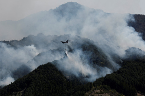 Sebuah helikopter melakukan operasi pemadaman kebakaran saat kebakaran hutan terjadi di Otsuchi, Prefektur Iwate, Jepang, Minggu (26/4/2026). Foto: Kim Kyung-Hoon/REUTERS