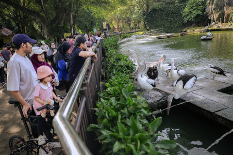 Warga mengunjungi Taman Margasatwa Ragunan, Jakarta Selatan pada Sabtu (2/5/2026), saat libur panjang May Day. Suasana kawasan wisata ini cukup tenang, tidak seramai seperti saat libur lebaran atau tahun baru. Foto: Jamal Ramadhan/kumparan