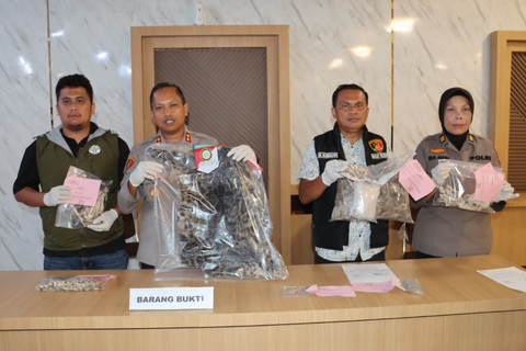 Konferensi pers pengungkapan kasus kejahatan pemburuan ilegal satwa dilindungi Harimau Dahan dan sisik Tenggiling di Polres Padangsidimpuan, Jumat (1/5/2026). Foto: Dok. Polres Padangsidimpuan