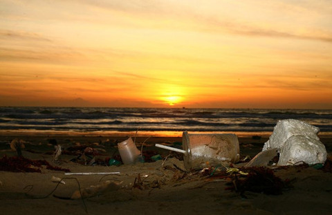 Sampah plastik seharusnya menjadi tanggung jawab bersama. Foto: Pixabay