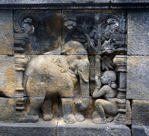 Relief Jataka Gajah di Candi Borobudur.