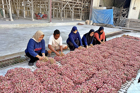 Petani bawang merah yang tergabung dalam Gapoktan Karya Abadi Kecamatan Rejoso, Nganjuk. Foto: Moh Fajri/kumparan
