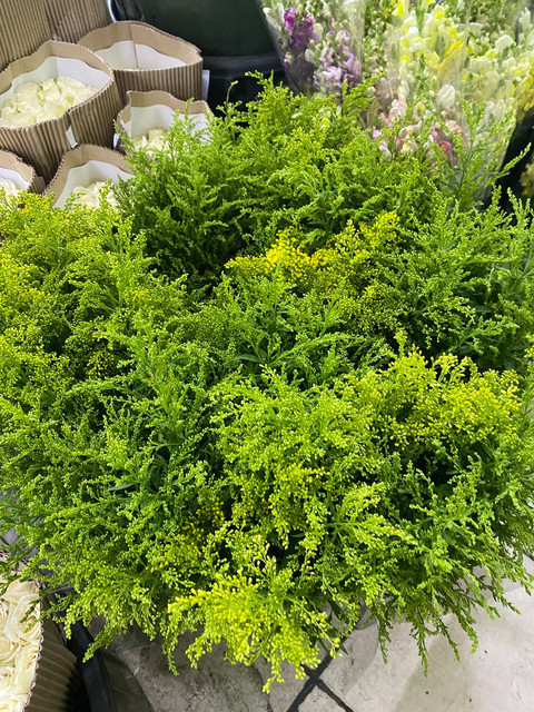 Bunga unik bernama solidago yang ada di Pasar Rawa Belong. Foto: kumparan/Naela Marcelina