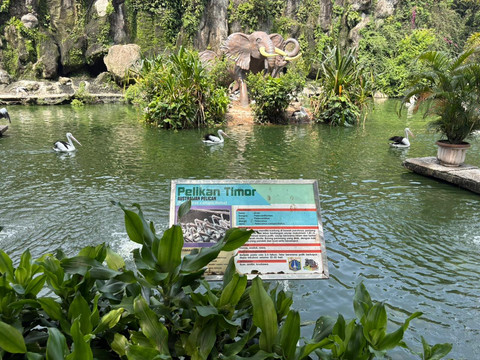 Suasana Taman Margasatwa Ragunan, Jakarta Selatan, saat long weekend Hari Raya Kenaikan Yesus Kristus, Jumat (15/5/2026). Foto: Nauval Pratama/kumparan