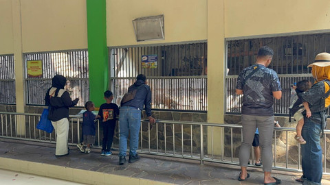 Suasana Taman Margasatwa Ragunan, Jakarta Selatan, saat long weekend Hari Raya Kenaikan Yesus Kristus, Jumat (15/5/2026). Foto: Nauval Pratama/kumparan