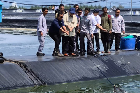 Presiden Prabowo melakukan kunjungan kerja ke Panen Raya Udang BUBK Kebumen ke-08, didampingi Menteri KKP Sakti Wahyu Trenggono pada Sabtu (23/5/2026) di Budi Daya Udang Berbasis Kawasan (BUBK) Kebumen, Jateng. Foto: Nabila Ulfa/kumparan