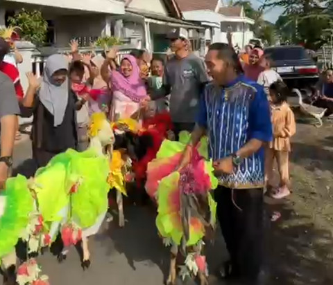 Warga Desa Labruk Kidul, Kecamatan Sumbersuko, Kabupaten Lumajang, saat melaksanakan tradisi rias kambing dan keliling kampung sebelum disembelih. Foto: Dok. Istimewa