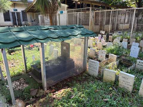 Potret pemakaman hewan Taman Makam di Pondok Pengayom Satwa, Ragunan, Jakarta Selatan pada Kamis (28/5/2026). Foto: Ryan Iqbal/kumparan