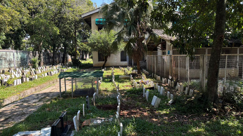Potret pemakaman hewan Taman Makam di Pondok Pengayom Satwa, Ragunan, Jakarta Selatan pada Kamis (28/5/2026). Foto: Ryan Iqbal/kumparan