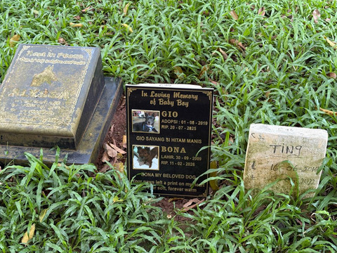 Potret pemakaman hewan Taman Makam di Pondok Pengayom Satwa, Ragunan, Jakarta Selatan pada Kamis (28/5/2026). Foto: Ryan Iqbal/kumparan