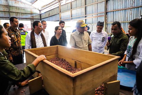 Gandeng PT MIO sebagai penjamin pasar ekspor, Kemensos dorong ratusan petani kakao di NTT graduasi dari bansos, Rabu (3/6/2026). Foto: Kemensos RI