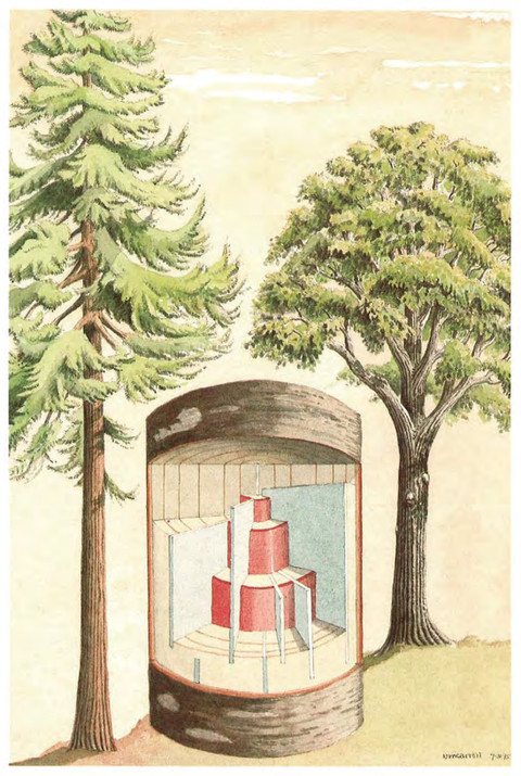 Watercolor illustrations by David M. Carroll, Warner, New Hampshire. dalam buku COMPARTMENTALIZATIONOF DECAY IN TREES yang di tulis oleh Alex L. Shigo & Harold G, Marx U.S. Department of Agriculture 
