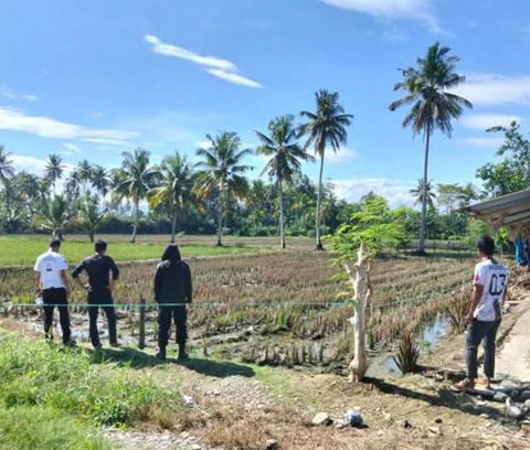Olah TKP yang dilakukan oleh Personel Polsek Mangkutana terkait seorang cleaning service puskesmas yang tewas dibunuh di Luwu Timur, Sulawesi Selatan. Foto: Dok. Istimewa
