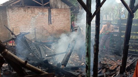 Kebakaran terjadi di Desa Balongmulyo, Kecamatan Kragan, Kabupaten Rembang pada Jumat (12/6/2026).
Foto: Dok. BPBD Rembang
