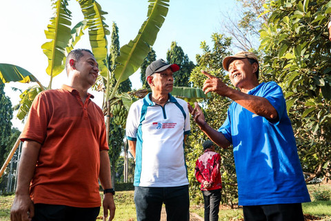 Wamensos Agus Jabo saat panen hasil budidaya melon di Sentra Terpadu Pangudi Luhur (STPL) Bekasi, Sabtu (13/6/2026). Foto: Dok. Kemensos