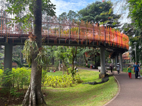 Sejumlah warga berjalan menikmati suasana akhir pekan di Tebet Eco Park, Jakarta Selatan, Minggu (14/6/2026). Foto: Nauval Pratama/kumparan